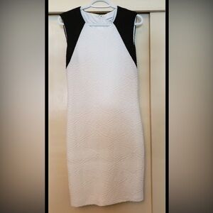 Calvin Klein Black and White Mini Dressa